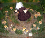 Pilz-Wald-Naturwunderwelt